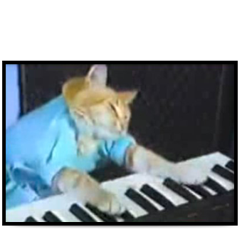 Keyboard Cat